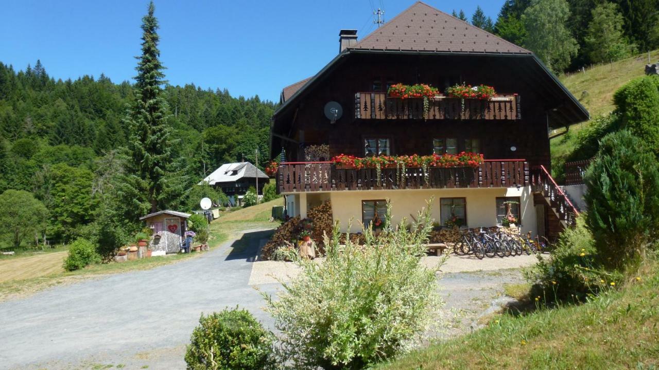 托特莫斯Haus Biehler公寓 外观 照片